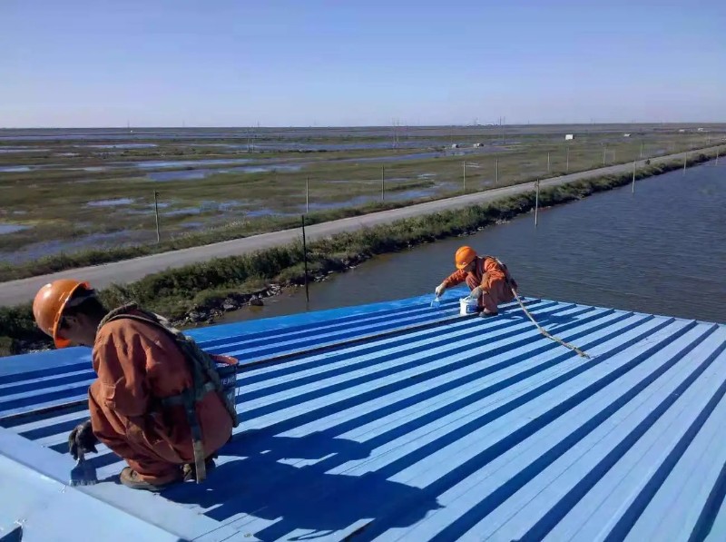 庆云钢结构屋面漏水原因